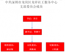 龙祥社工党组织建设